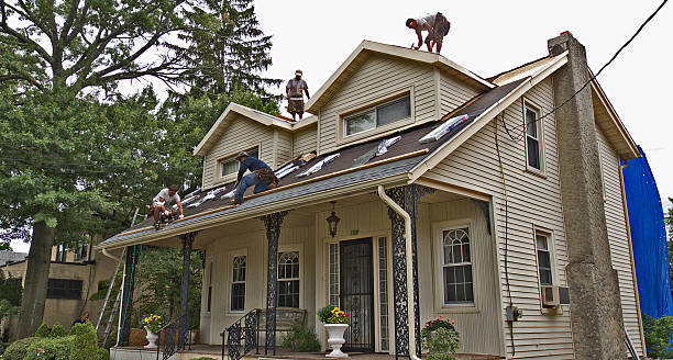 Best Roof Gutter Cleaning  in Sheldon, TX